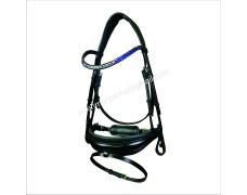 Leather Bridle